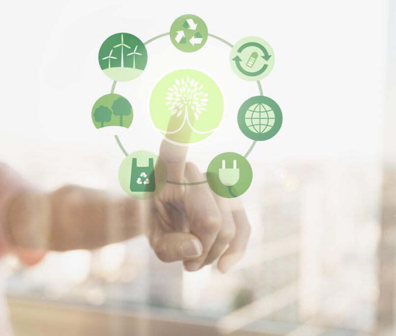 comercio online sostenible